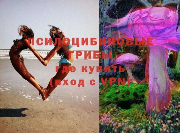 сатива Козловка