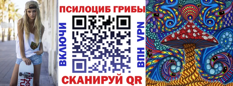 Купить где  Верхняя Тура  Псилоцибиновые грибы Cubensis 