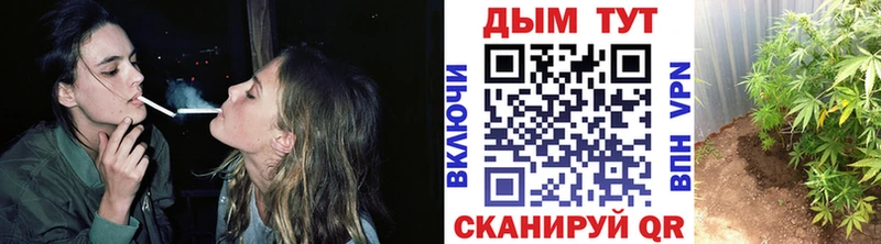Конопля семена  Купить  Верхняя Тура 